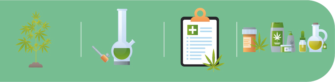 MedicalWeed S.A Enfoque Científico