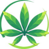 Medical Weed Ecuador SA Medical Weed Ecuador SA
