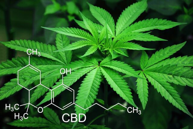 MedicalWeed S.A Ofertas